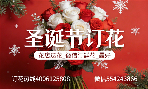 ���ݺ���������