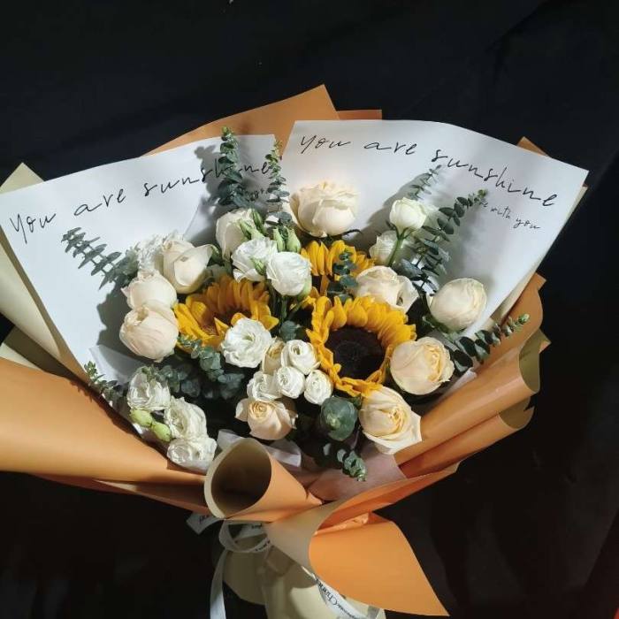 ���ݺ���������