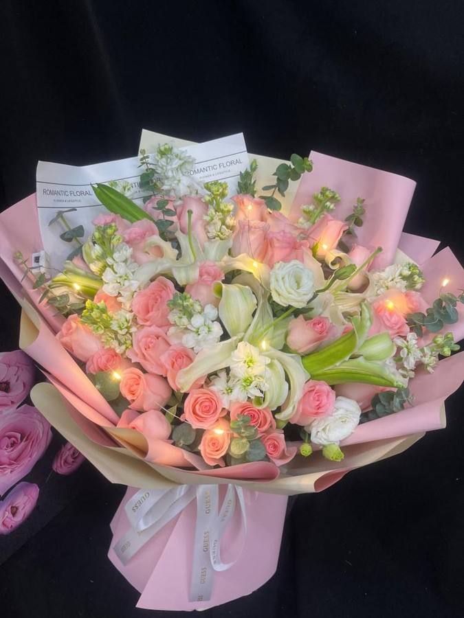 ���ݺ���������