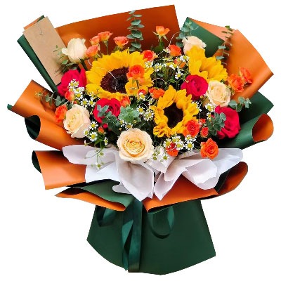 ���ݺ���������